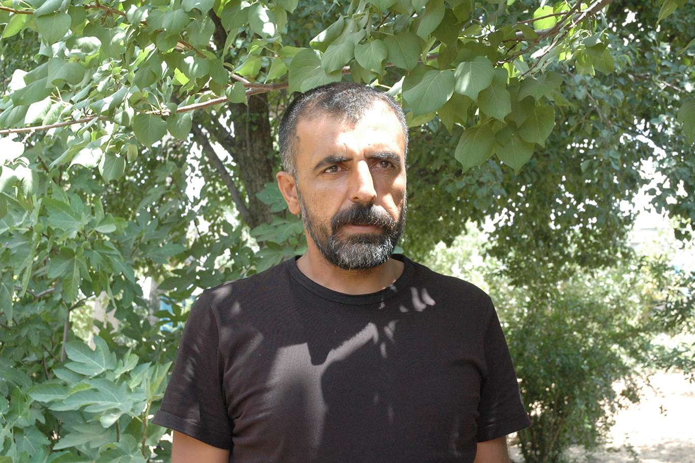 Ali Uyar